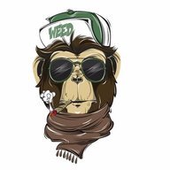 Space Ape