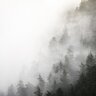 Foggy Sky