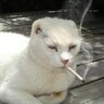 Peppie0546