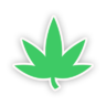 Coursecannabis.com