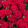 Flower123