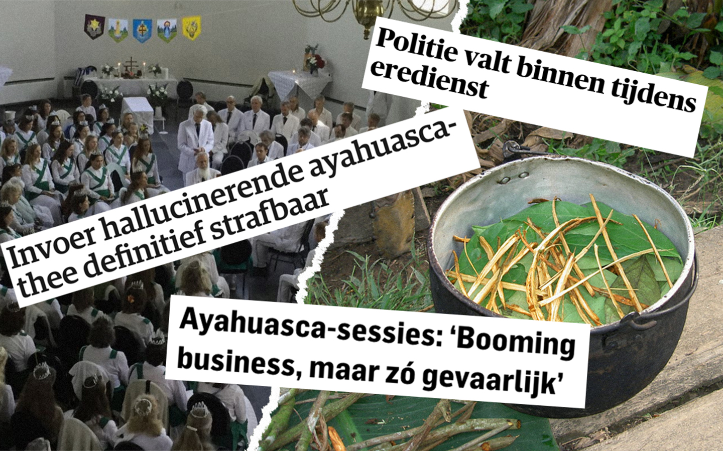 www.vice.com